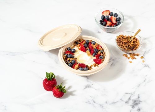 Bagasse Boxes